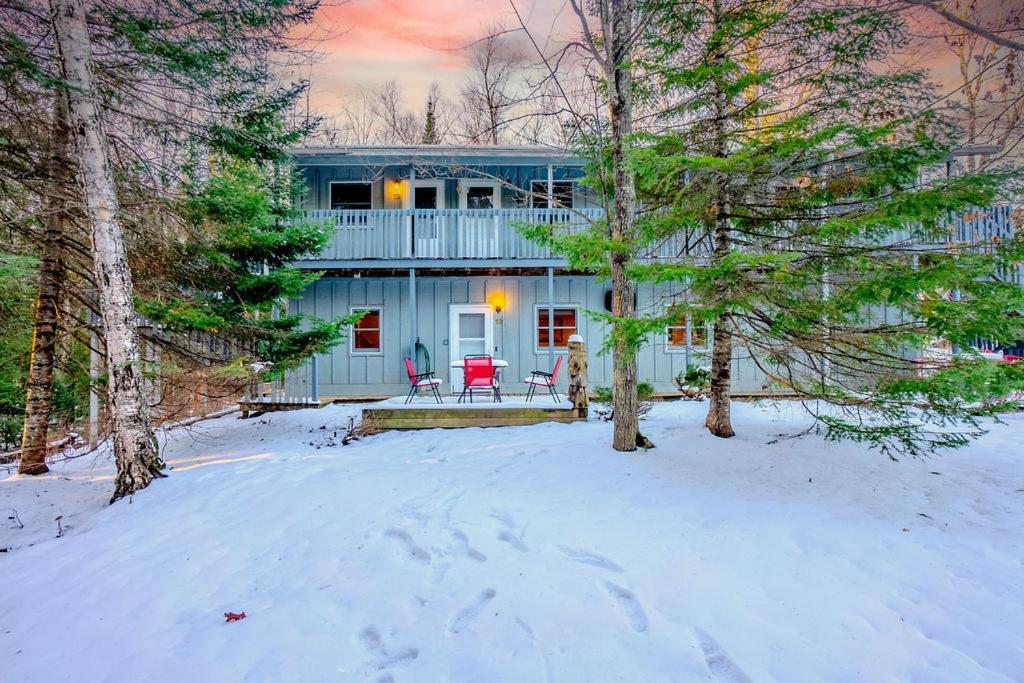 Hidden Gem, 3 Bed Cozy Condo - Dogs Welcomed Bayfield Exteriör bild