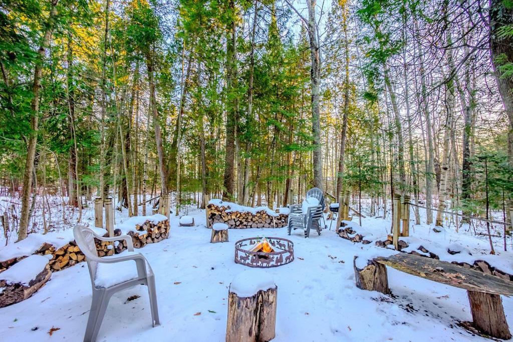 Hidden Gem, 3 Bed Cozy Condo - Dogs Welcomed Bayfield Exteriör bild
